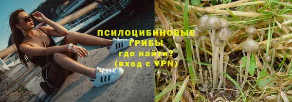 ALPHA PVP Приозерск