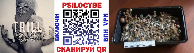 Галлюциногенные грибы прущие грибы  Купить закладки  Луза 